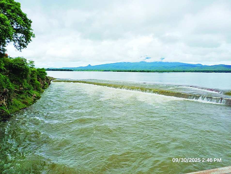 ကြက်မောက်တောင်